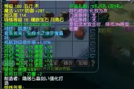 梦幻西游：“他不死珍宝阁永不败”，念慈悲渡众生装备大揭秘图片