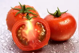 为什么西红柿越来越难吃了？科学家研究4年，发现是西红柿变了图片