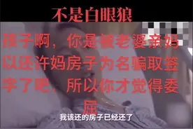 策说“已经还了房子”的疑惑图片