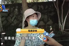 东河上的“网红”巴士，一趟只需三块钱图片