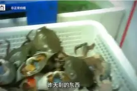 网红餐厅“翻车”，多地执法人员突击检查！店员赶紧丢弃食材，还发现更多问题图片