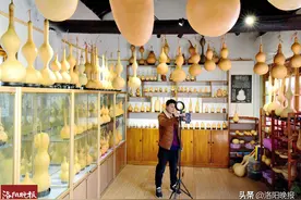 洛阳一男子承包15亩地，种出形态各异“葫芦娃”，最贵的售价上万元图片