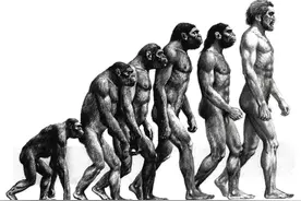 第一个人类是怎么诞生的？图片