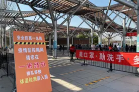 清明尽量不出京！安守京城，安度春天图片