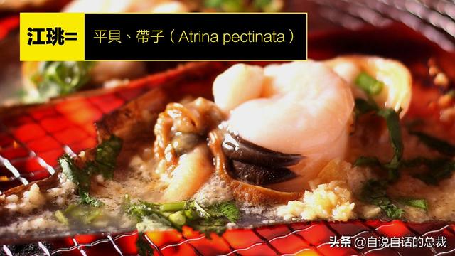 蛤、蚶、蛏、蚝、蚬有什么区别？这是一群美味海怪与人类的故事