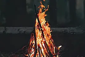 焚烧垃圾比垃圾造成的生态环境危害更大图片