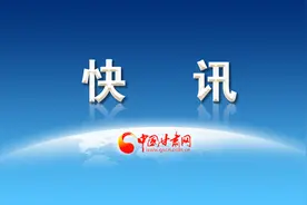 刘积福接受审查调查图片