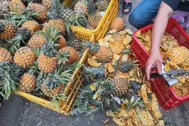 吃菠萝时，用盐水泡大错特错！果农教你正确方法，好吃不扎嘴图片