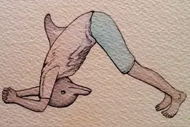 原来瑜伽有这么多体式与动物相关，真的太好看了图片