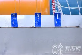 心算哪家强？海狮算给你看 新晋海底明星迎十一图片