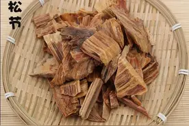 中药古今研究：油松节图片