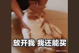 江苏盐城：惊！这份顶顶顶级骗子内部群聊天记录，被“曝光”了！图片
