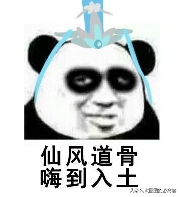 世风日下！道德沦丧！《动物之森》竟被玩成了黑暗现实主义游戏