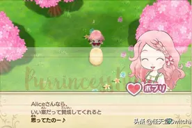 《牧场物语重聚矿石镇》可选择和同性结婚图片