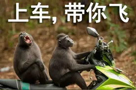 什么时候觉得你的男朋友很帅？他单手开法拉利的姿势简直太迷人图片