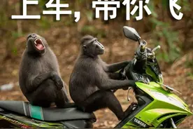 什么时候觉得你的男朋友很帅？他单手开法拉利的姿势简直太迷人图片