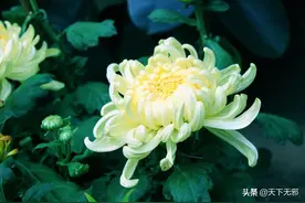 《中国无神论史》连载27——遇日食不再处死或罢免大臣图片