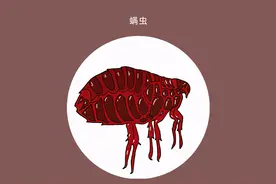 床单一周不换，螨虫千千万？教您除螨小技巧，记得收藏好图片