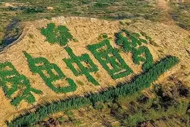 美国：中国搞面子工程！花几千亿在沙漠种树，日本专家：你懂什么图片