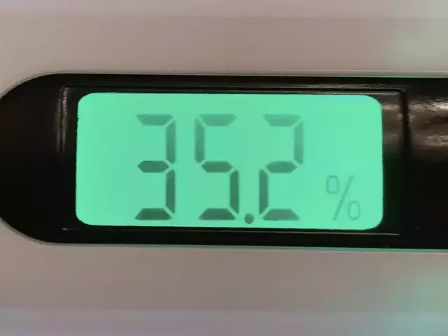 让整个身体都能美白的身体乳