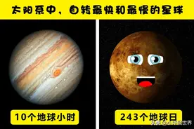 世上不同事物的6个有趣的极端对比图片