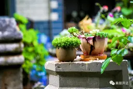 一叠旧手稿 满纸爱国情~~手稿主人还与“边纵名将”朱家璧有关图片