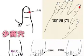 阴阳五行命名五穴图片