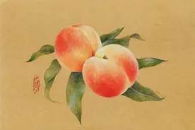 色铅彩绘 | 水蜜桃图片
