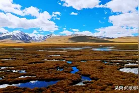 麦地卡湿地-平均海拔最高的顶级穿越路线图片