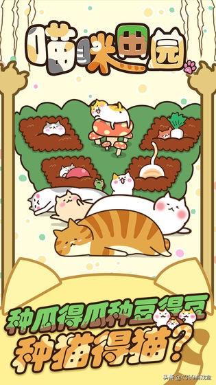 《猫咪田园》萌系猫咪养成游戏，猫咪爱好者的狂欢！3月12日上线
