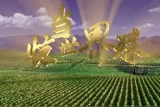 首届中国（宁夏）国际葡萄酒文化旅游博览会宣传片，来了图片