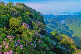 重庆宝藏网红地，满山杜鹃花如海、花开灿烂如红霞。美翻图片