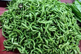 春天，带壳嫩豌豆怎么做才好吃？要不要焯水？这样做清香入味图片