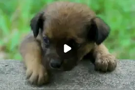 给大家康康一波好看的星际文图片