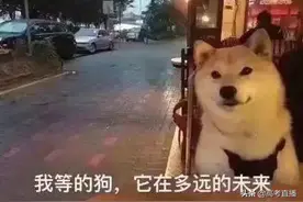 广东高校男女比例大盘点！这些大学最容易找到女朋友图片