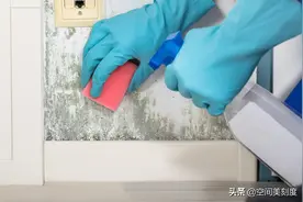 8大措施教你无死角地去除家里的陈年霉菌，提高卫生防疫图片
