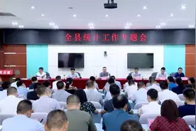 渠县｜统计工作怎么抓，抓的如何？将这样干图片