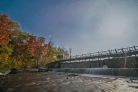 露水河长白山国际狩猎度假区·杯中茶给予宁静，景中色给予充实。图片