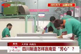 大开放，向南方——四川制造怎样赢南亚“芳心”？视频封面