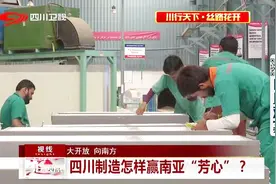 大开放，向南方——四川制造怎样赢南亚“芳心”？视频封面