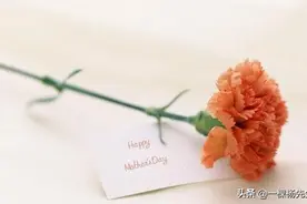 2020轩轩和妈妈日记（57）人生最快乐的事情，是收到母亲节的礼物图片