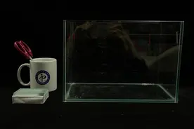 给剪刀加个buff，轻轻松松让玻璃破防~| 正经玩图片