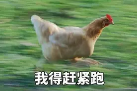 表情｜我得赶紧跑图片