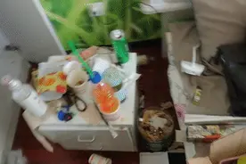 首次曝光！他们的“马赛克人生”！图片
