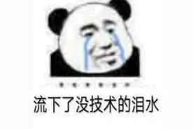 《一起来看流星雨》又名《一起来看广告》图片