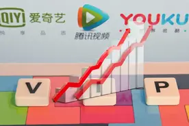 涨价的联合会员、愤怒的辛巴和逐渐老去的我们图片