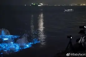 环岛路、筼筜湖 厦门惊现“蓝眼泪”奇观！最全追泪地图，上线！图片