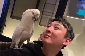 LPL救世主苏小落再爆大瓜，贪心360万导致IG损失巨大图片