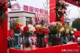 中国民企500强，河南信阳只有一家企业上榜，其他企业还差多远图片