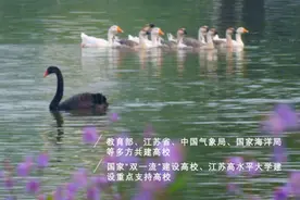 预见 · 你｜南京信息工程大学2020年招生宣传片震撼发布，等你来！图片